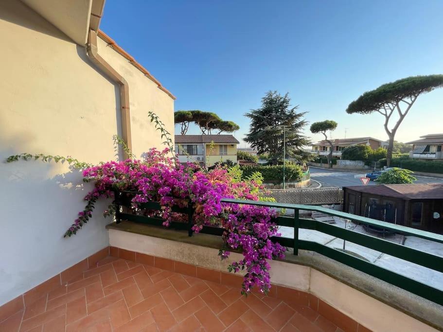 Nerone's House Anzio